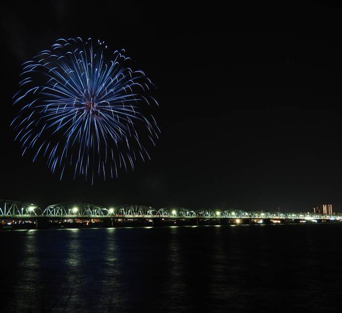 Yoshinogawa Fireworks Display 02
