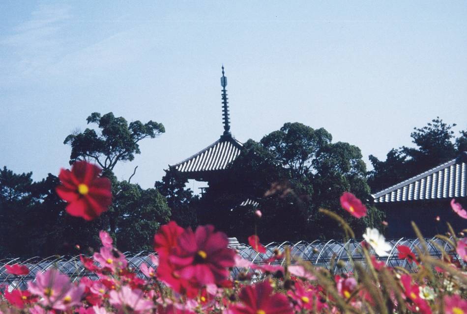 Hokiji Temple 01