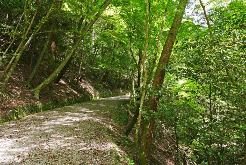 Mt. Wakakusa - Mt. Kasuga Nature Trail 01