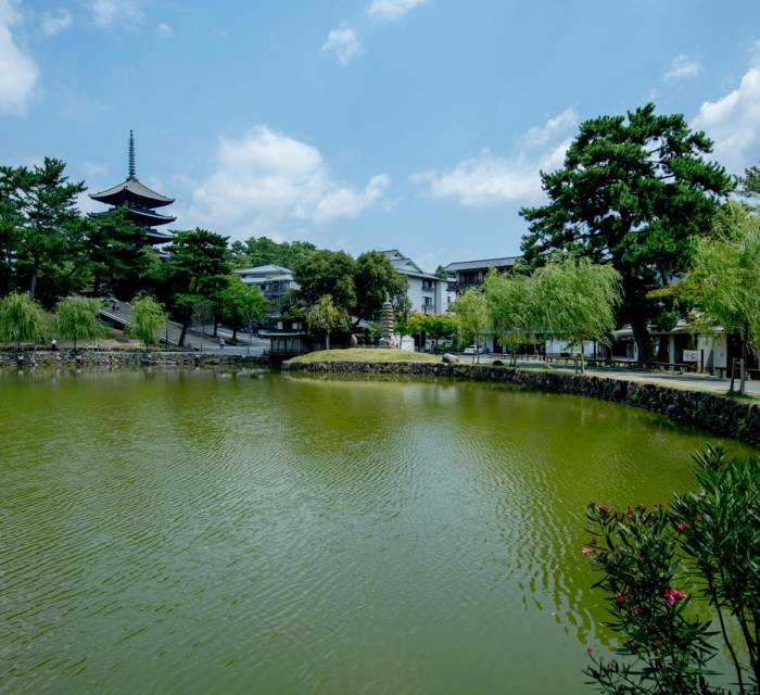 Sarusawa Pond 01