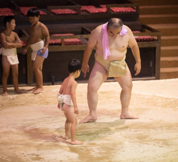Katsuragi City Sumo Museum Kehayaza 03